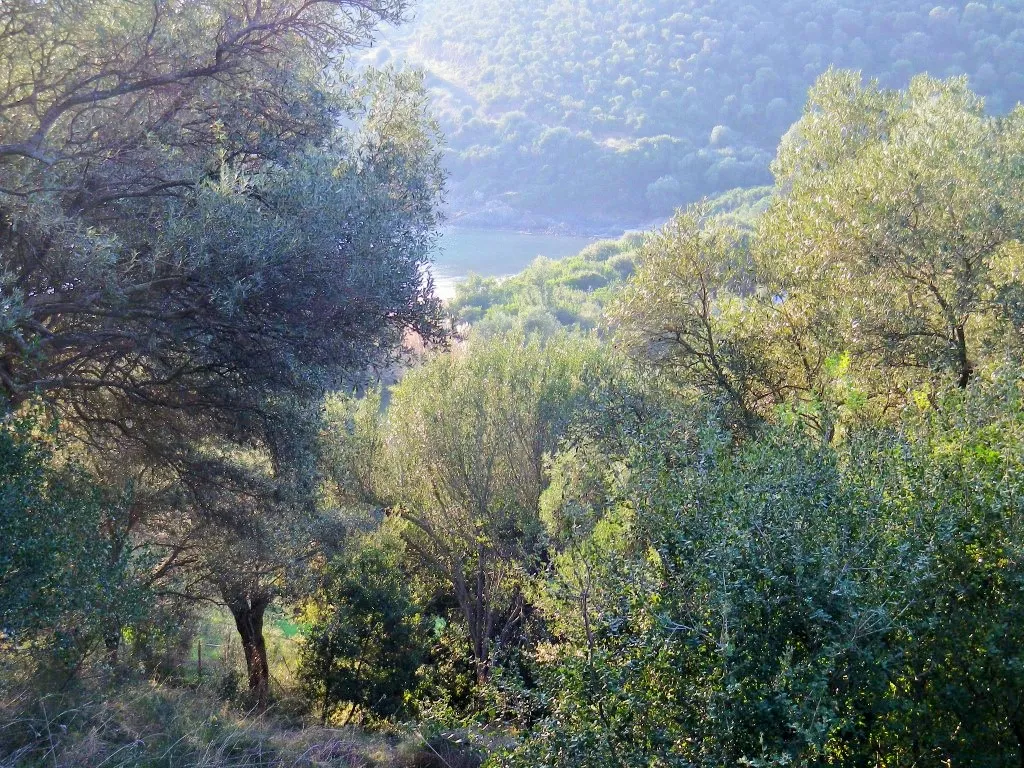 οικόπεδο προς πώληση 2583 τ.μ Αριστοτέλης Χαλκιδική