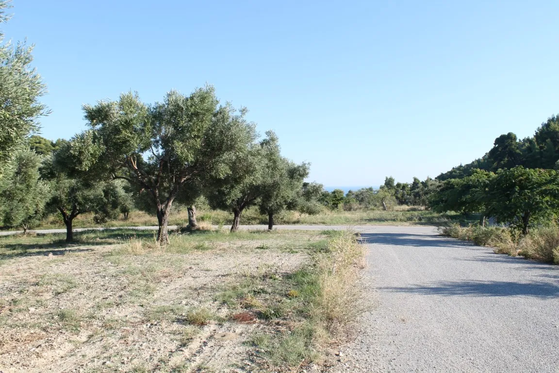 οικόπεδο προς πώληση 5058 τ.μ Κασσάνδρα Χαλκιδική