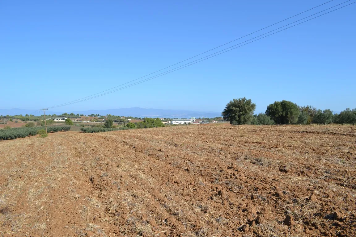 οικόπεδο προς πώληση 20000 τ.μ Κασσάνδρα Χαλκιδική