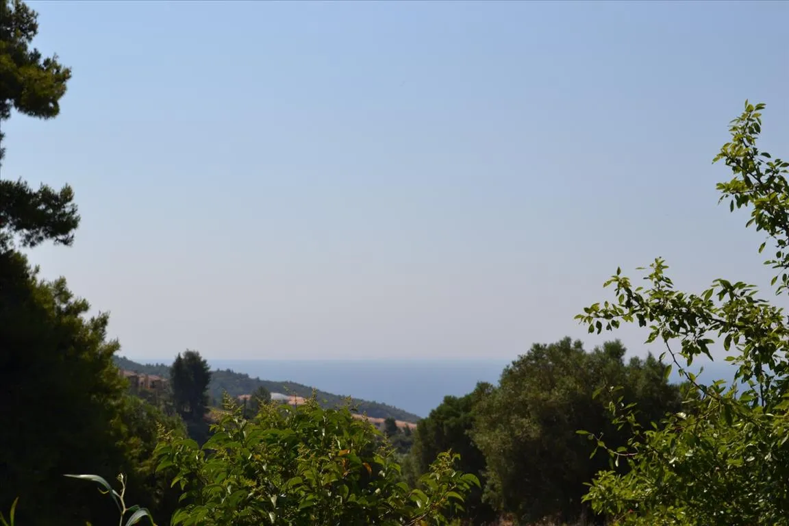οικόπεδο προς πώληση 3419 τ.μ Κασσάνδρα Χαλκιδική