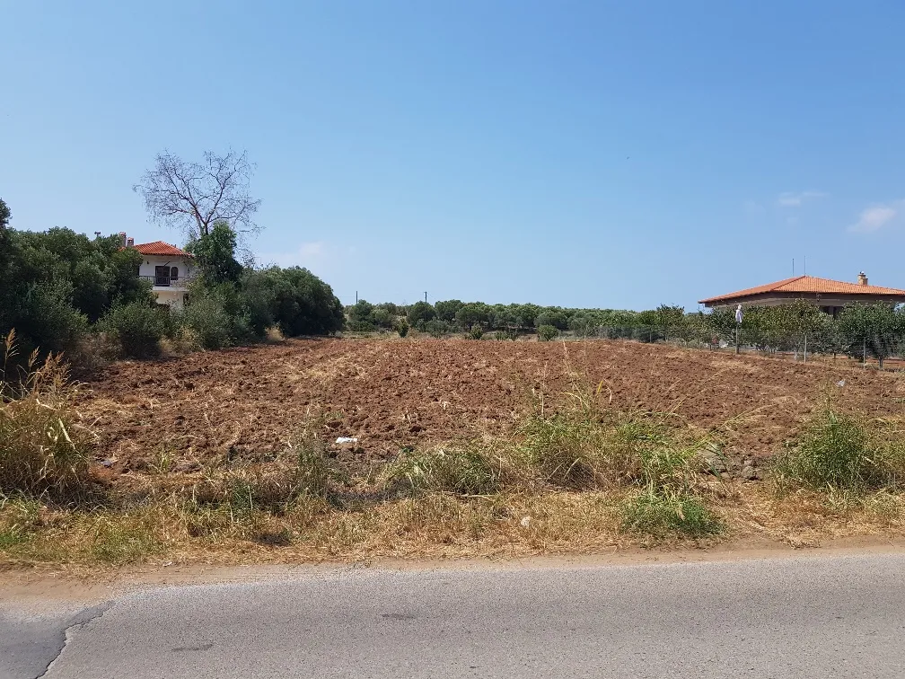 οικόπεδο προς πώληση 3000 τ.μ Κασσάνδρα Χαλκιδική