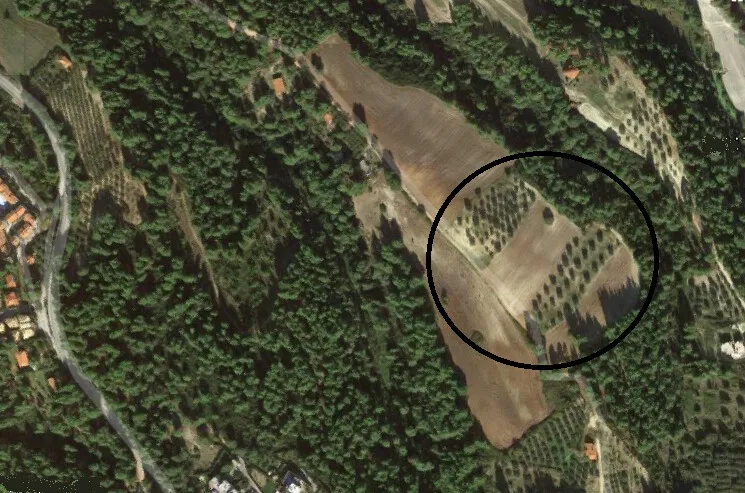 οικόπεδο προς πώληση 34000 τ.μ Κασσάνδρα Χαλκιδική