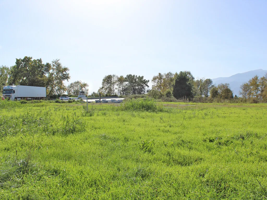 οικόπεδο προς πώληση 6375 τ.μ Κατερίνη Νομός Πιερίας