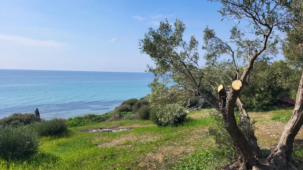 μονοκατοικία προς πώληση 350 τ.μ Νέα Προποντίδα Χαλκιδική