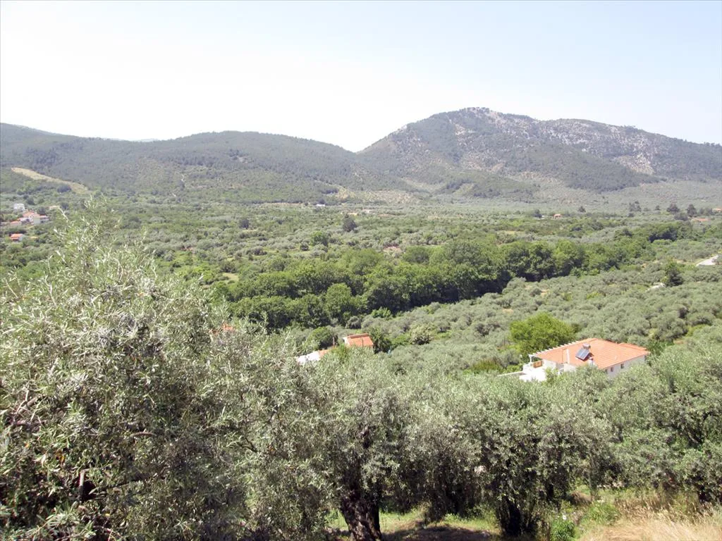 οικόπεδο προς πώληση 2500 τ.μ Θάσος Νομός Καβάλας