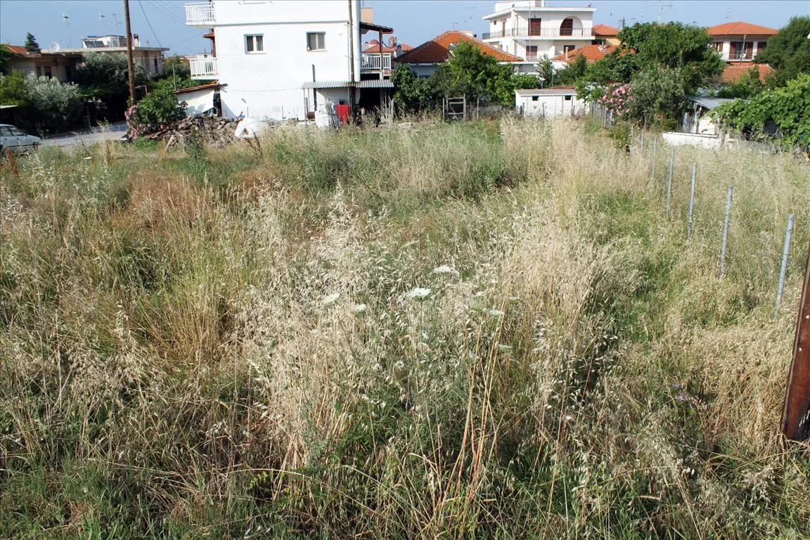 οικόπεδο προς πώληση 700 τ.μ Αριστοτέλης Χαλκιδική