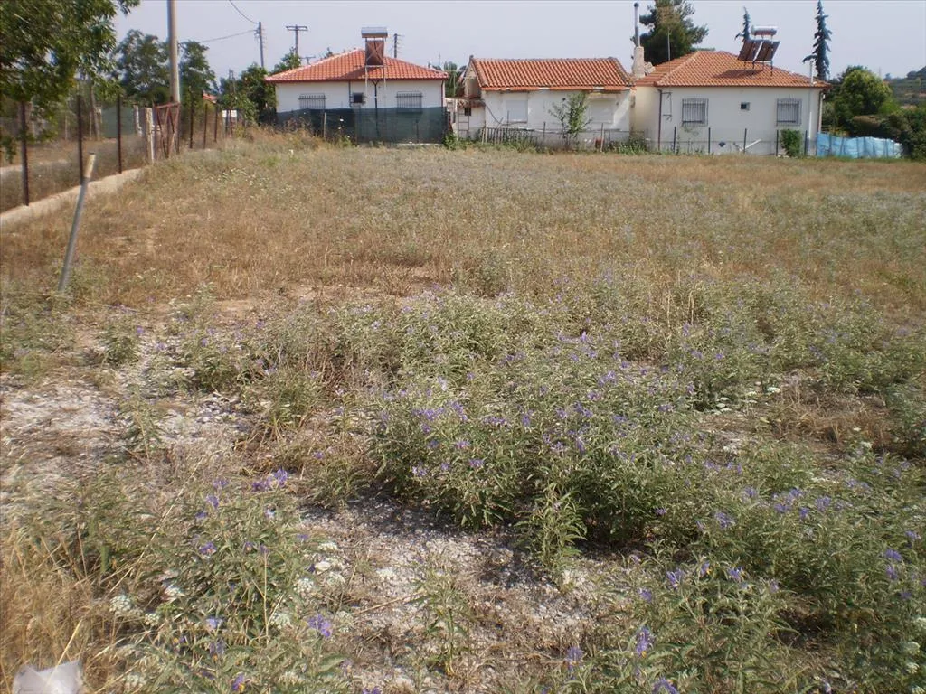 οικόπεδο προς πώληση 1691 τ.μ Νέα Προποντίδα Χαλκιδική