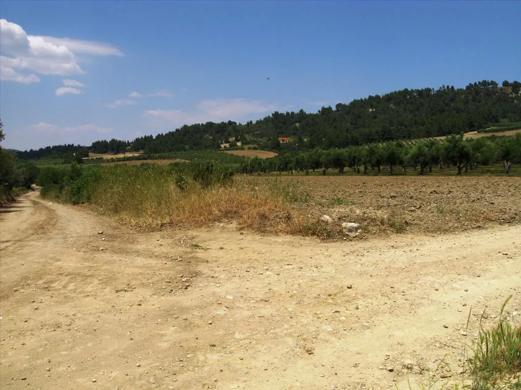 οικόπεδο προς πώληση 4385 τ.μ Κασσάνδρα Χαλκιδική