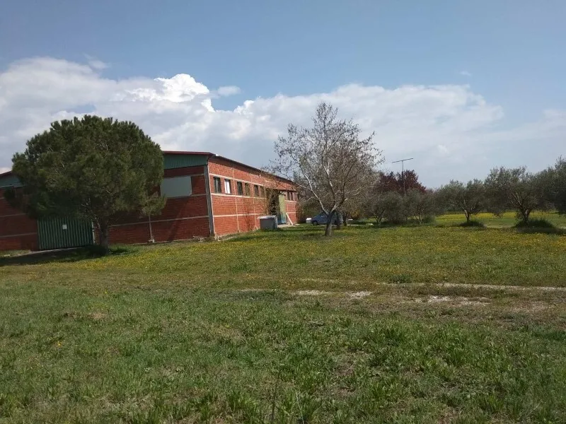 εμπορικό ακίνητο προς πώληση 800 τ.μ Ωραιόκαστρο Προάστια Θεσσαλονίκης