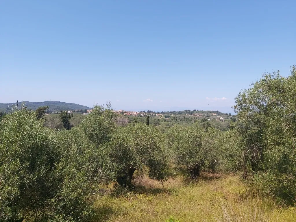 οικόπεδο προς πώληση 4800 τ.μ Κέρκυρα Νομός Κέρκυρας