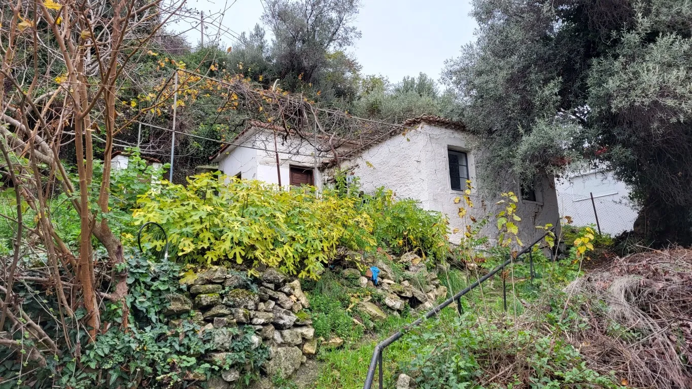 μονοκατοικία προς πώληση 60 τ.μ Κασσάνδρα Χαλκιδική