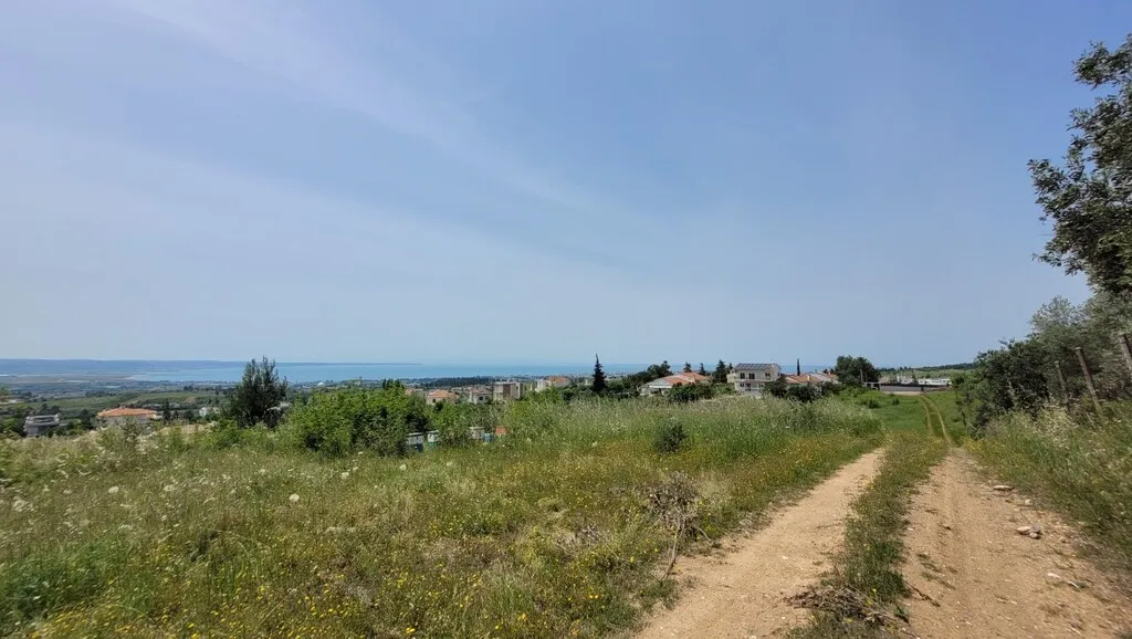 οικόπεδο προς πώληση 5000 τ.μ Πανόραμα Προάστια Θεσσαλονίκης