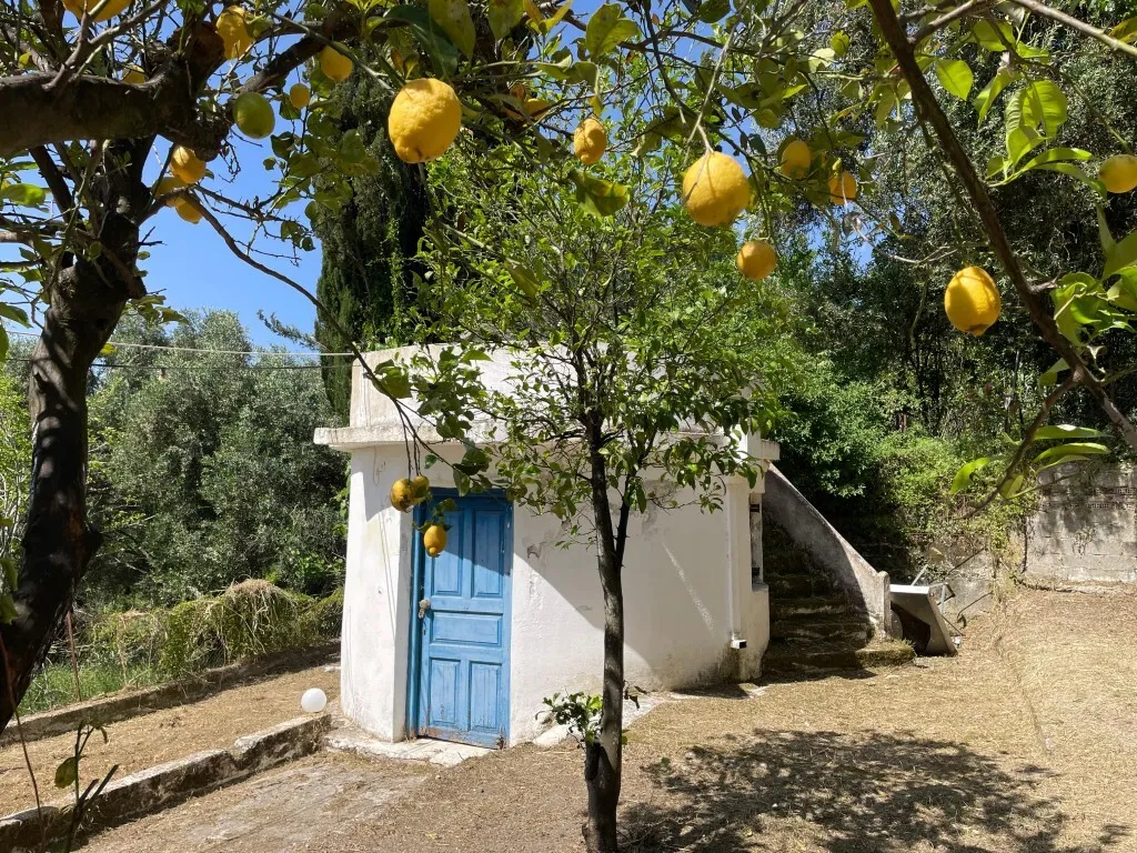 οικόπεδο προς πώληση 2130 τ.μ Κέρκυρα Νομός Κέρκυρας