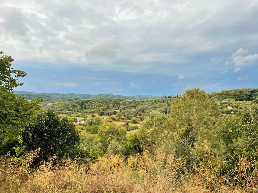 οικόπεδο προς πώληση 10000 τ.μ Κέρκυρα Νομός Κέρκυρας