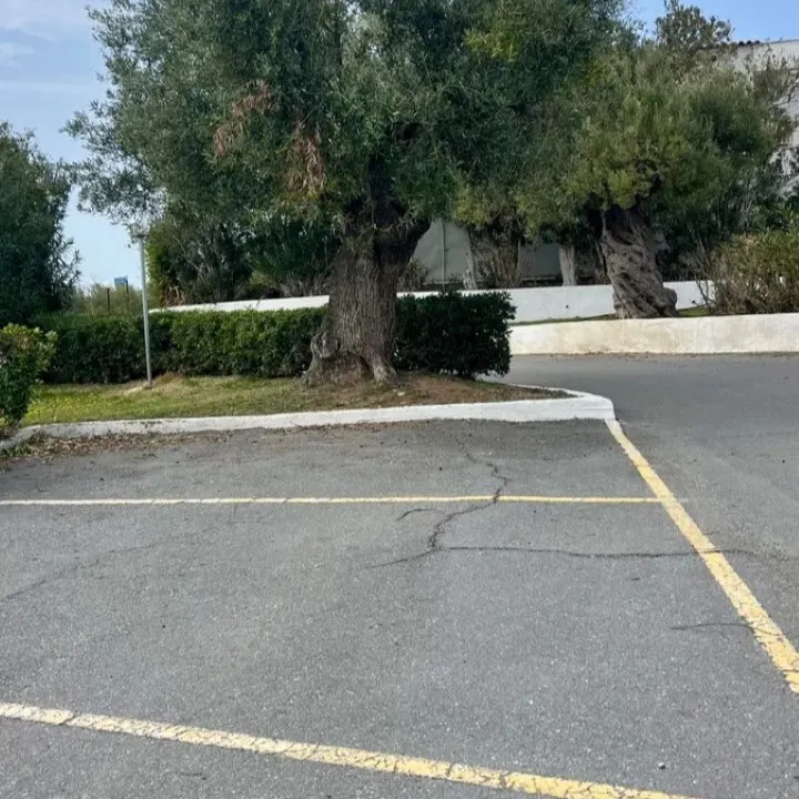 720