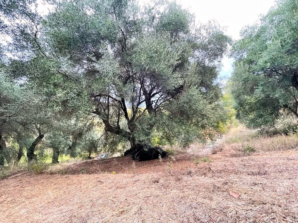 1024