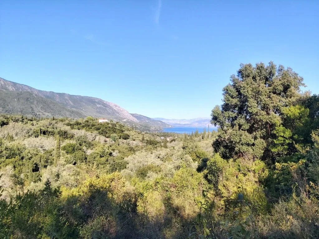 οικόπεδο προς πώληση 8250 τ.μ Κέρκυρα Νομός Κέρκυρας