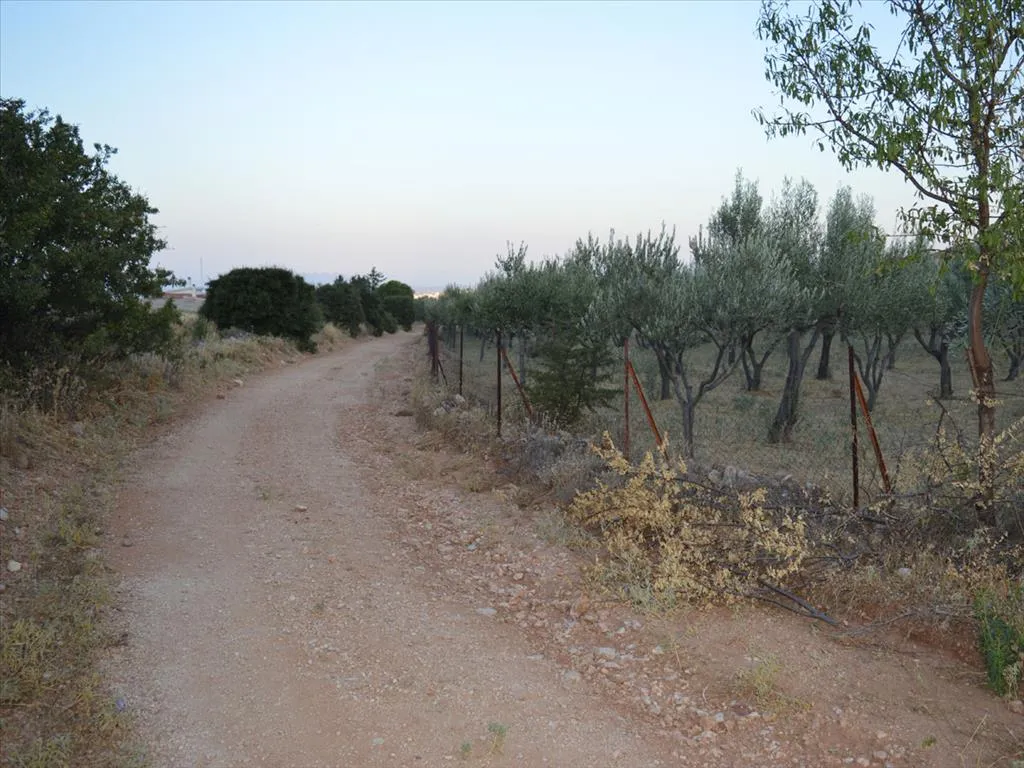 οικόπεδο προς πώληση 2638 τ.μ Κορωπί Ανατολικά Αθήνας