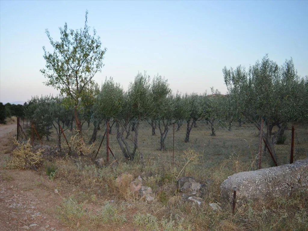1024