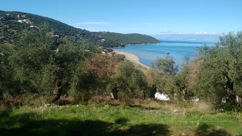 οικόπεδο προς πώληση 4565 τ.μ Κέρκυρα Νομός Κέρκυρας