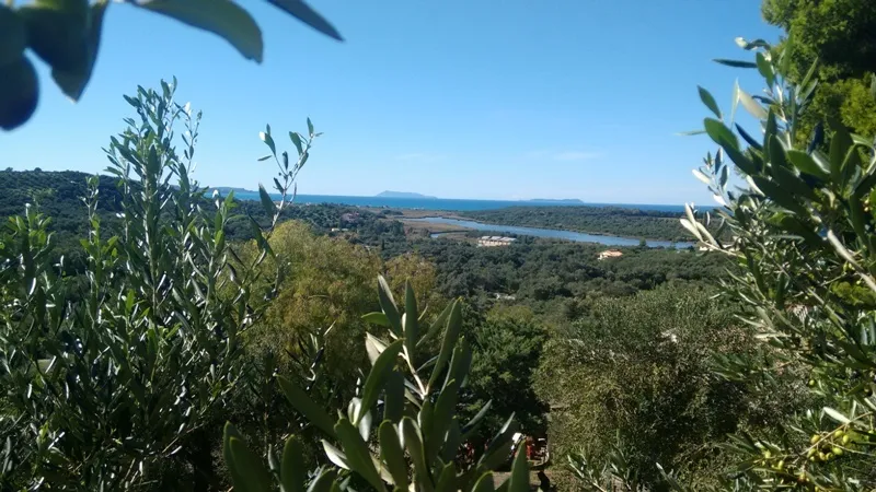 οικόπεδο προς πώληση 3447 τ.μ Κέρκυρα Νομός Κέρκυρας