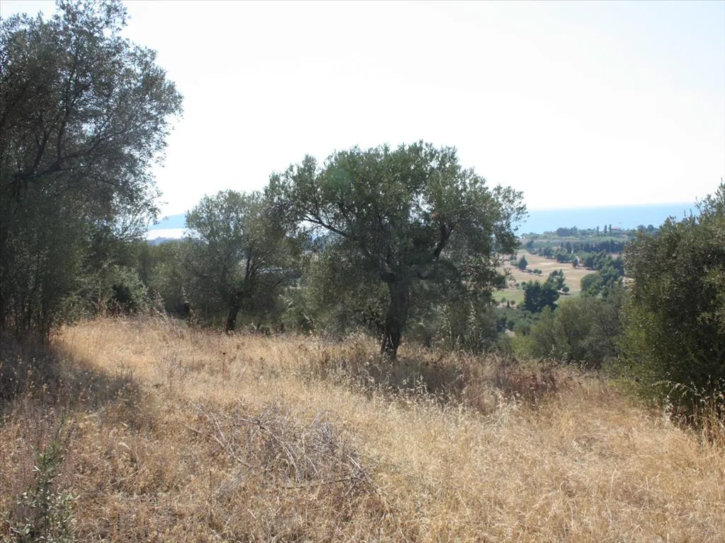 οικόπεδο προς πώληση 4074 τ.μ Σιθωνία Χαλκιδική