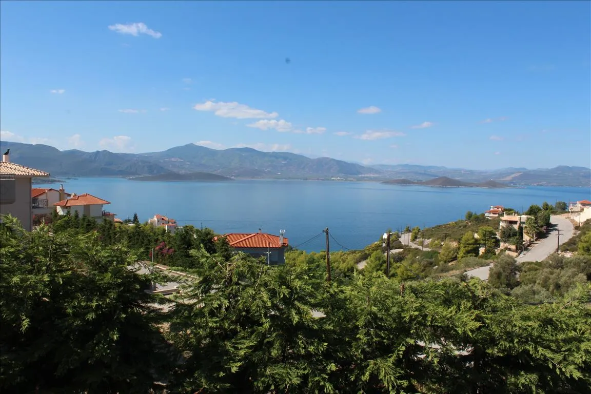 βίλα προς πώληση 580 τ.μ  Φθιώτιδα