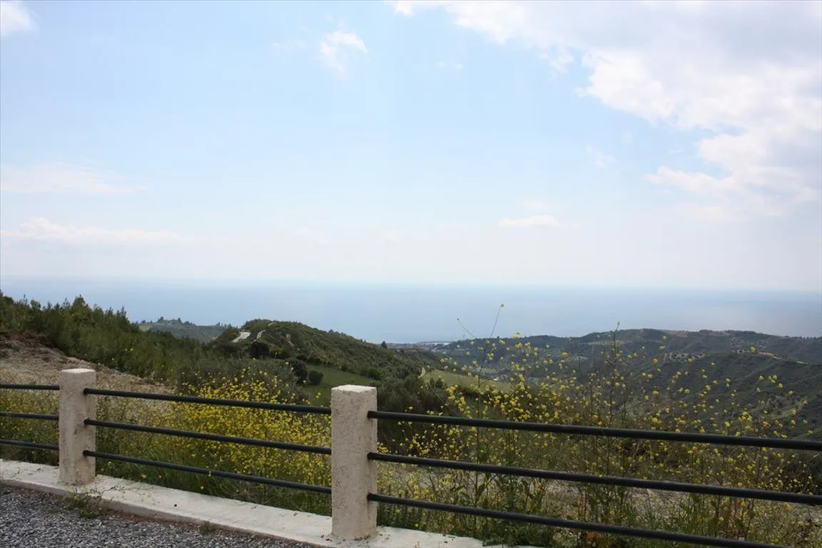 οικόπεδο προς πώληση 4000 τ.μ Κασσάνδρα Χαλκιδική