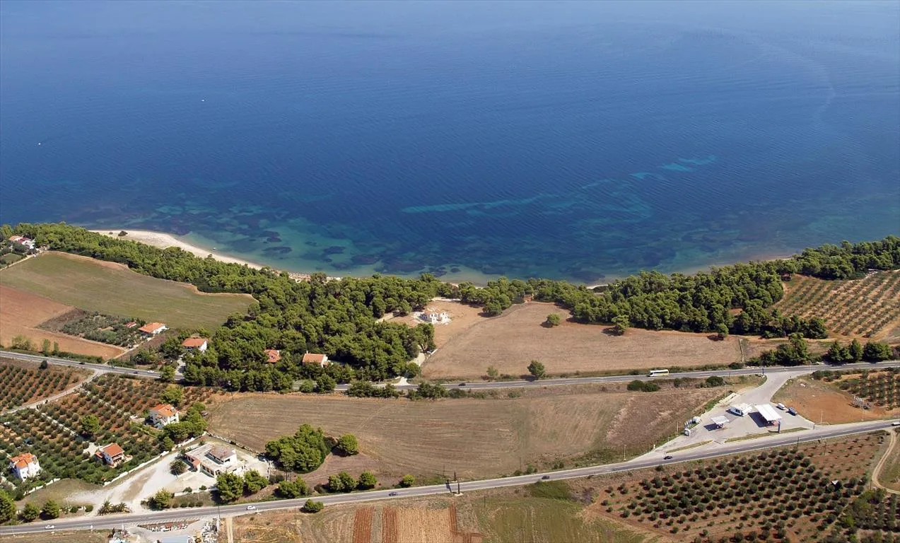 οικόπεδο προς πώληση 30000 τ.μ Κασσάνδρα Χαλκιδική