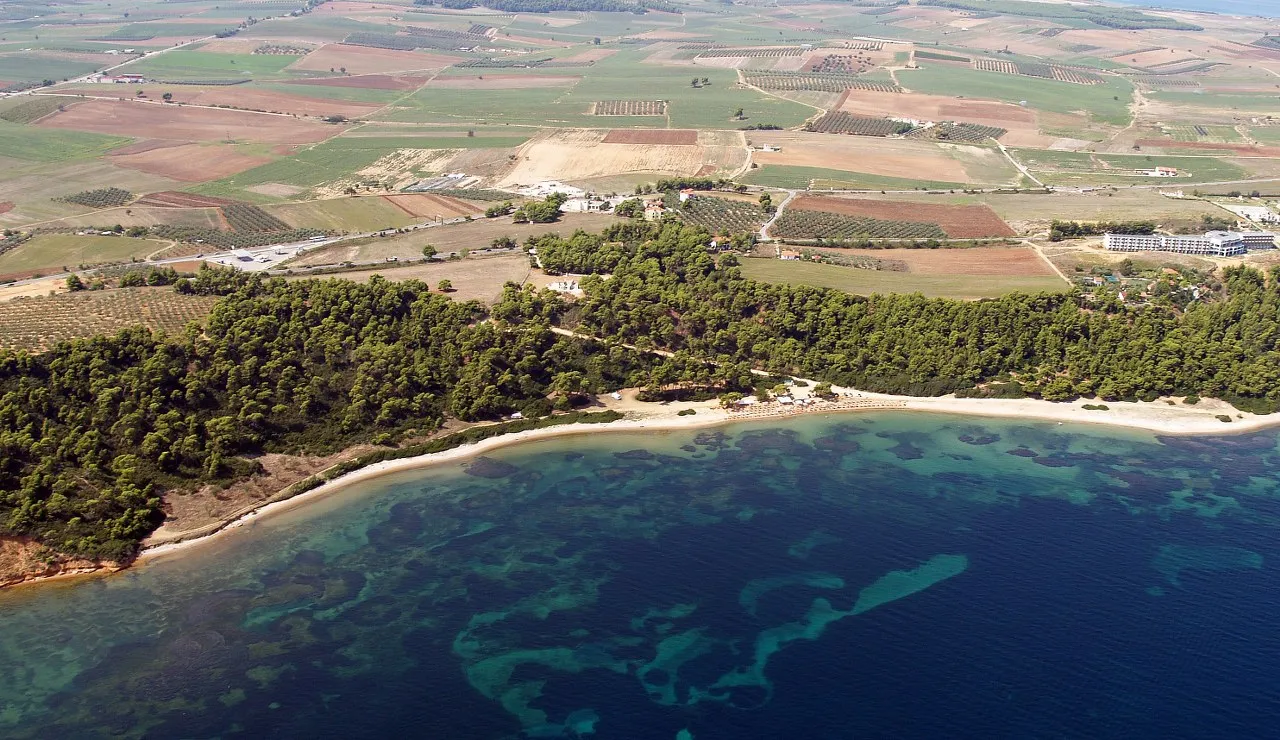 οικόπεδο προς πώληση 30000 τ.μ Κασσάνδρα Χαλκιδική