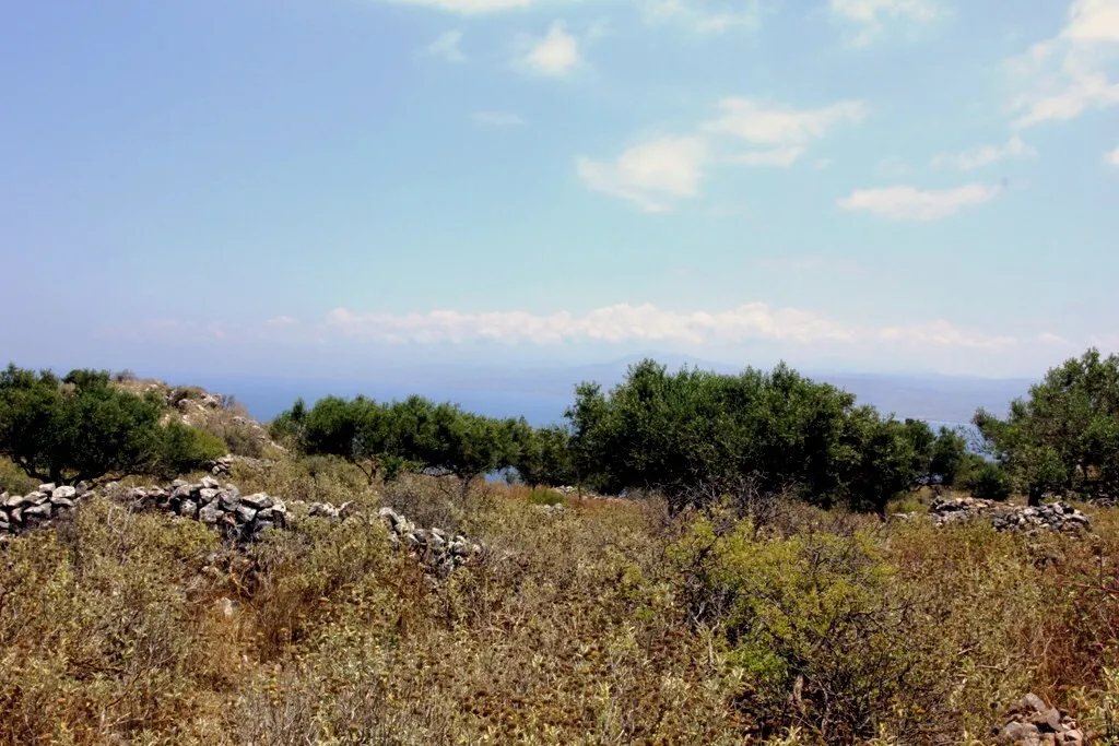 οικόπεδο προς πώληση 4500 τ.μ Βάμος Νομός Χανίων