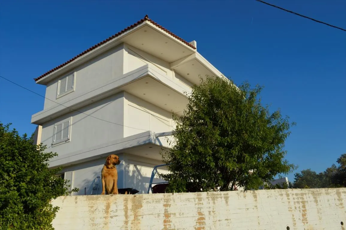 μονοκατοικία προς πώληση 300 τ.μ Παλαιά Φώκαια Υπόλοιπη Αττικής