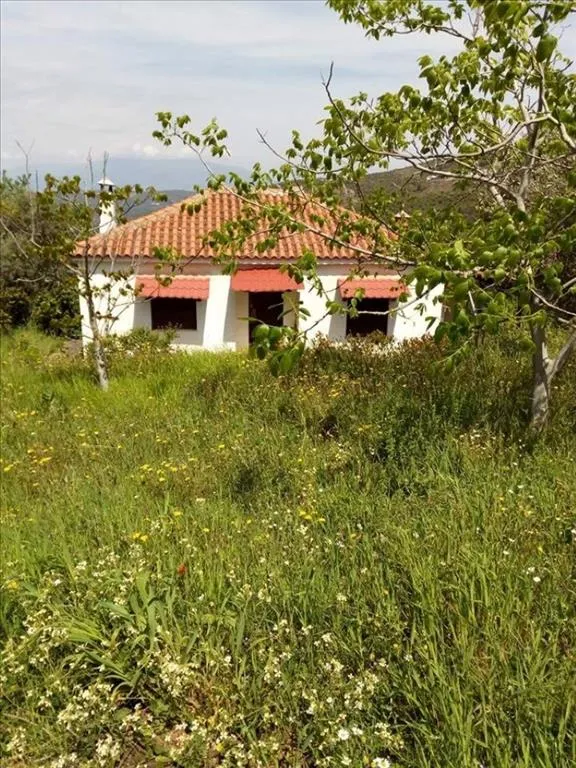μονοκατοικία προς πώληση 60 τ.μ Σιπιάδα Μαγνησία