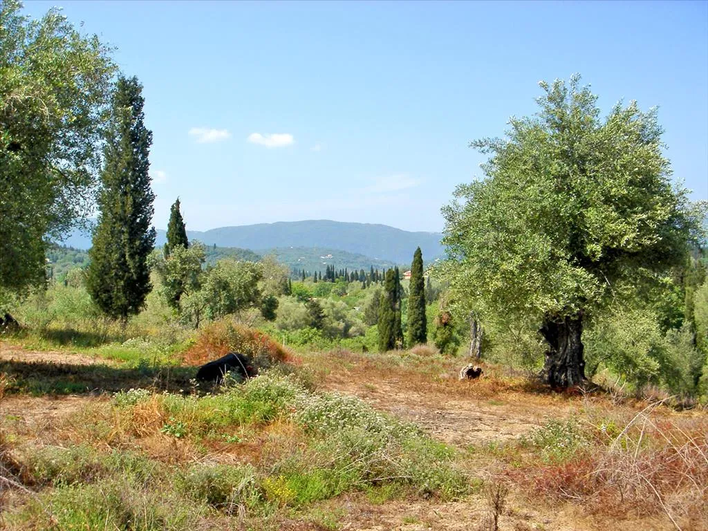 οικόπεδο προς πώληση  τ.μ Κέρκυρα Νομός Κέρκυρας