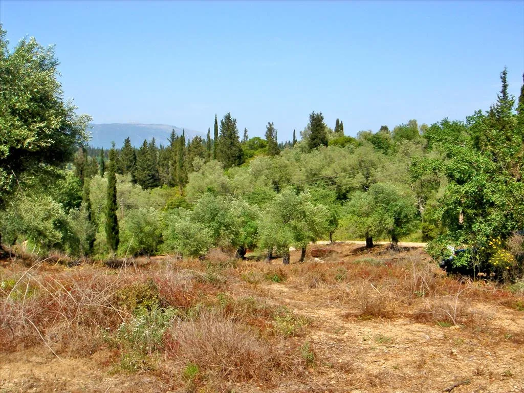 οικόπεδο προς πώληση  τ.μ Κέρκυρα Νομός Κέρκυρας