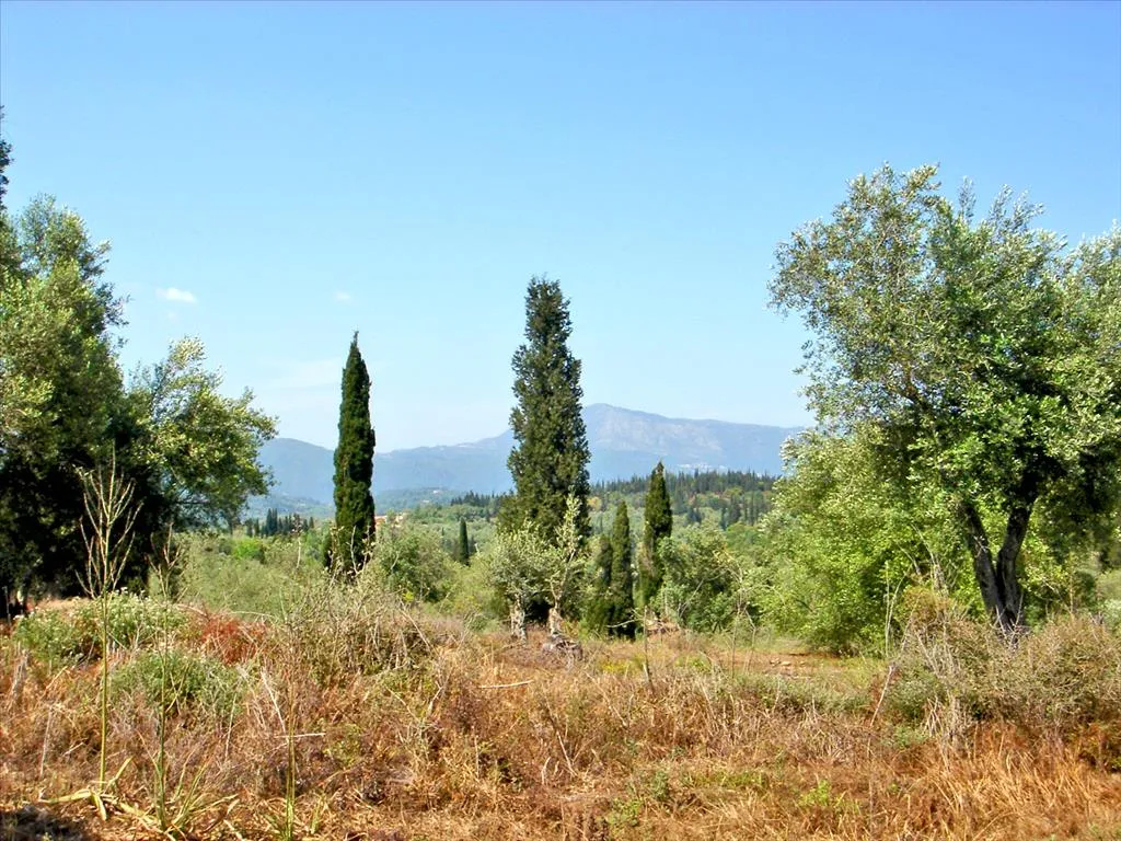 οικόπεδο προς πώληση  τ.μ Κέρκυρα Νομός Κέρκυρας