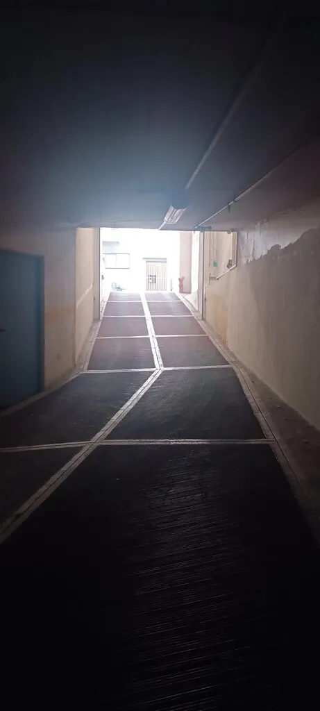 461