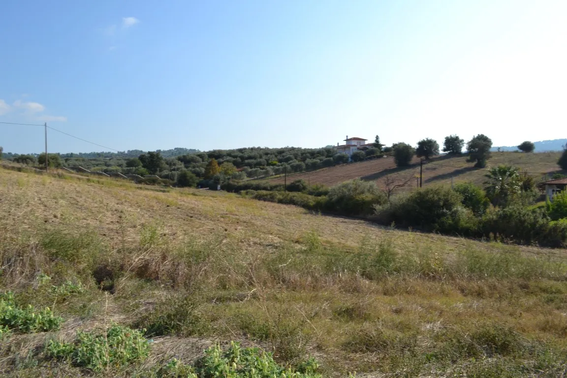 οικόπεδο προς πώληση 2000 τ.μ Κασσάνδρα Χαλκιδική