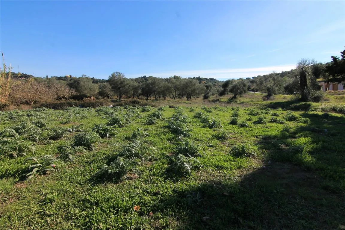 οικόπεδο προς πώληση 1250 τ.μ Κέρκυρα Νομός Κέρκυρας