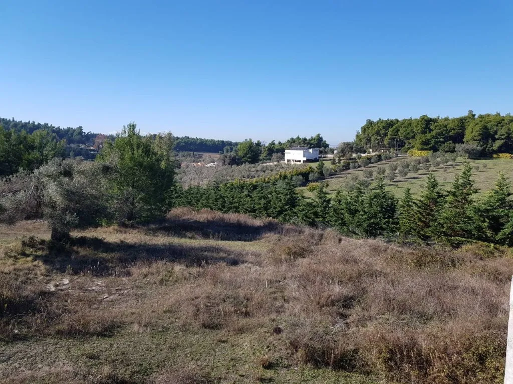 1024