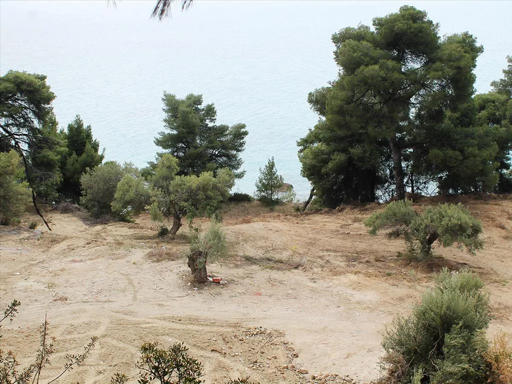 οικόπεδο προς πώληση 4320 τ.μ Κασσάνδρα Χαλκιδική
