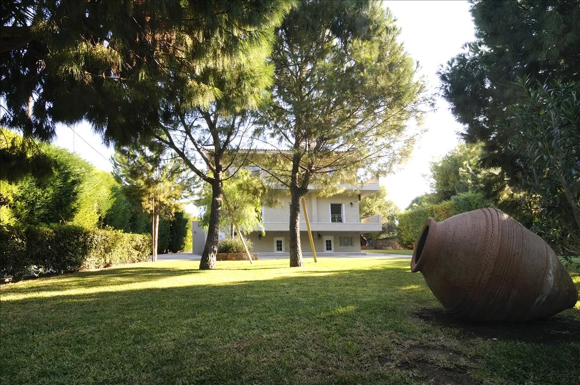 1156