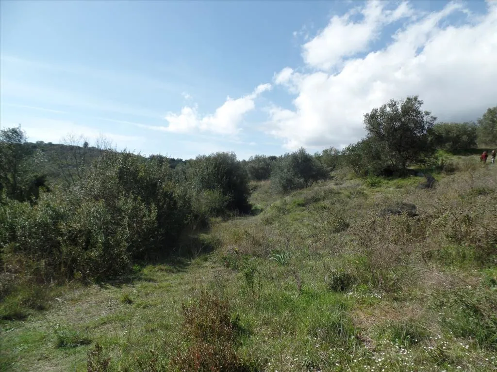 οικόπεδο προς πώληση 4536 τ.μ Κέρκυρα Νομός Κέρκυρας