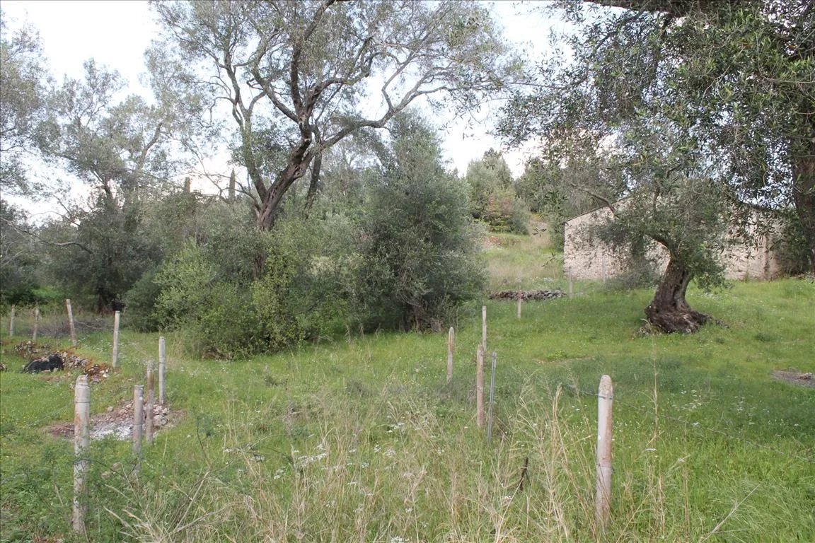 οικόπεδο προς πώληση 4300 τ.μ Κέρκυρα Νομός Κέρκυρας