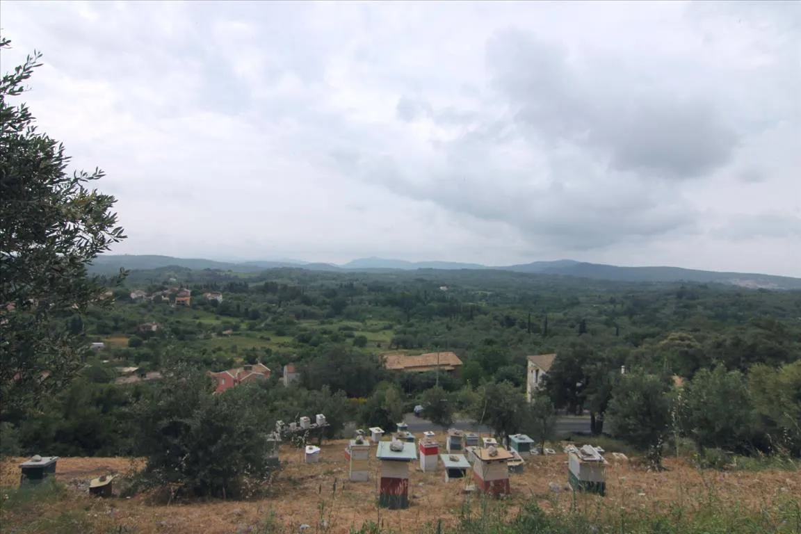 οικόπεδο προς πώληση 3700 τ.μ Κέρκυρα Νομός Κέρκυρας
