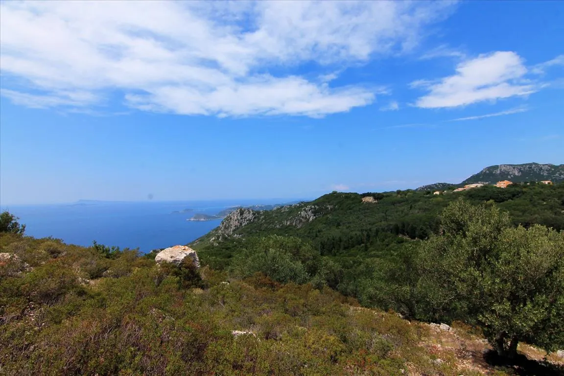 οικόπεδο προς πώληση 4000 τ.μ Κέρκυρα Νομός Κέρκυρας