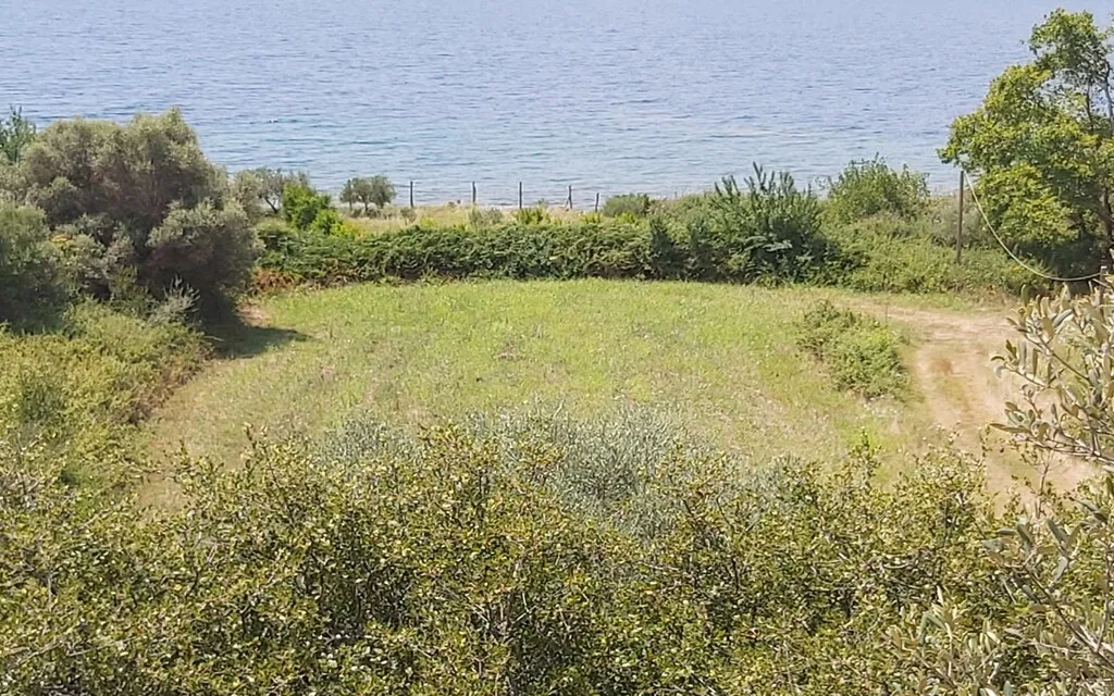 οικόπεδο προς πώληση 1600 τ.μ Αριστοτέλης Χαλκιδική