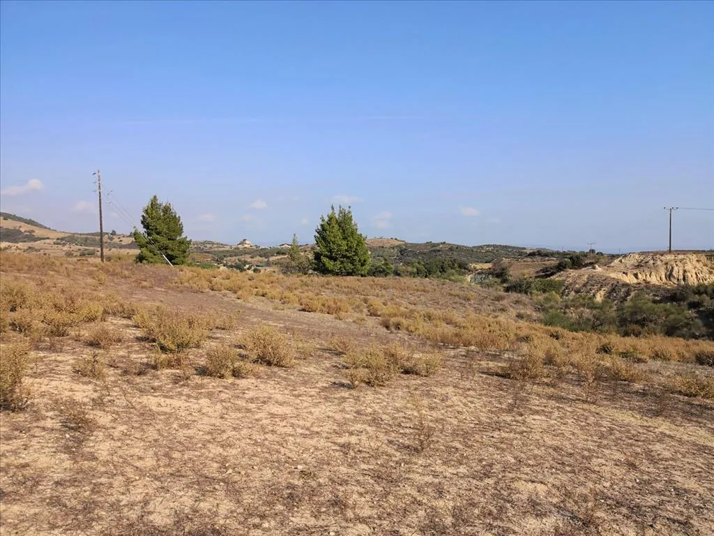 οικόπεδο προς πώληση 2894 τ.μ Σιθωνία Χαλκιδική