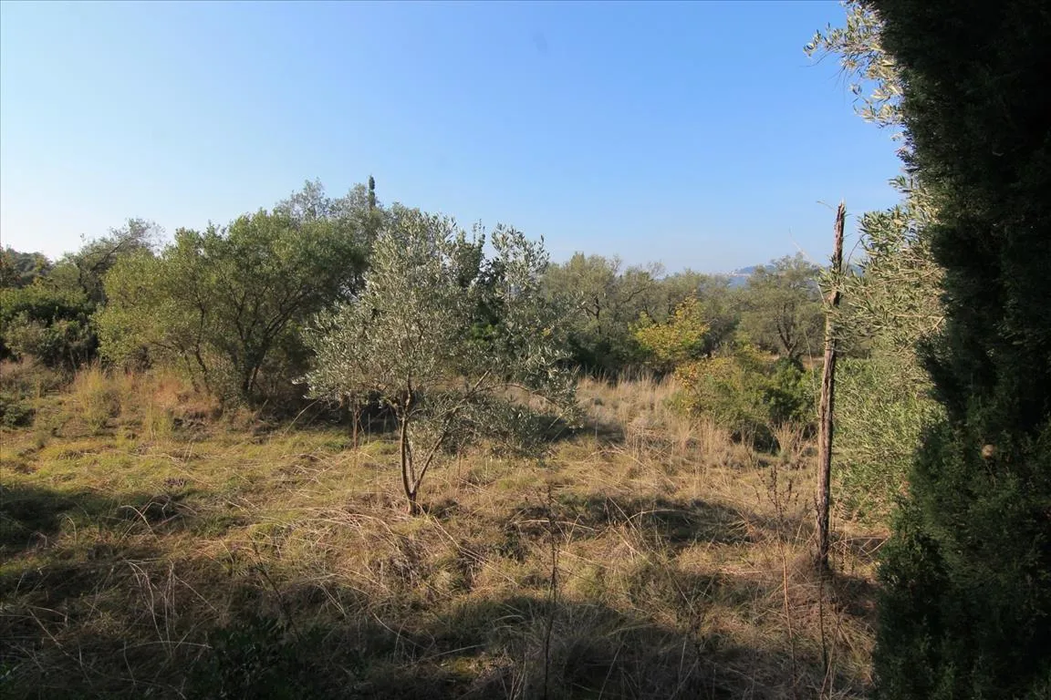 οικόπεδο προς πώληση 5000 τ.μ Κέρκυρα Νομός Κέρκυρας