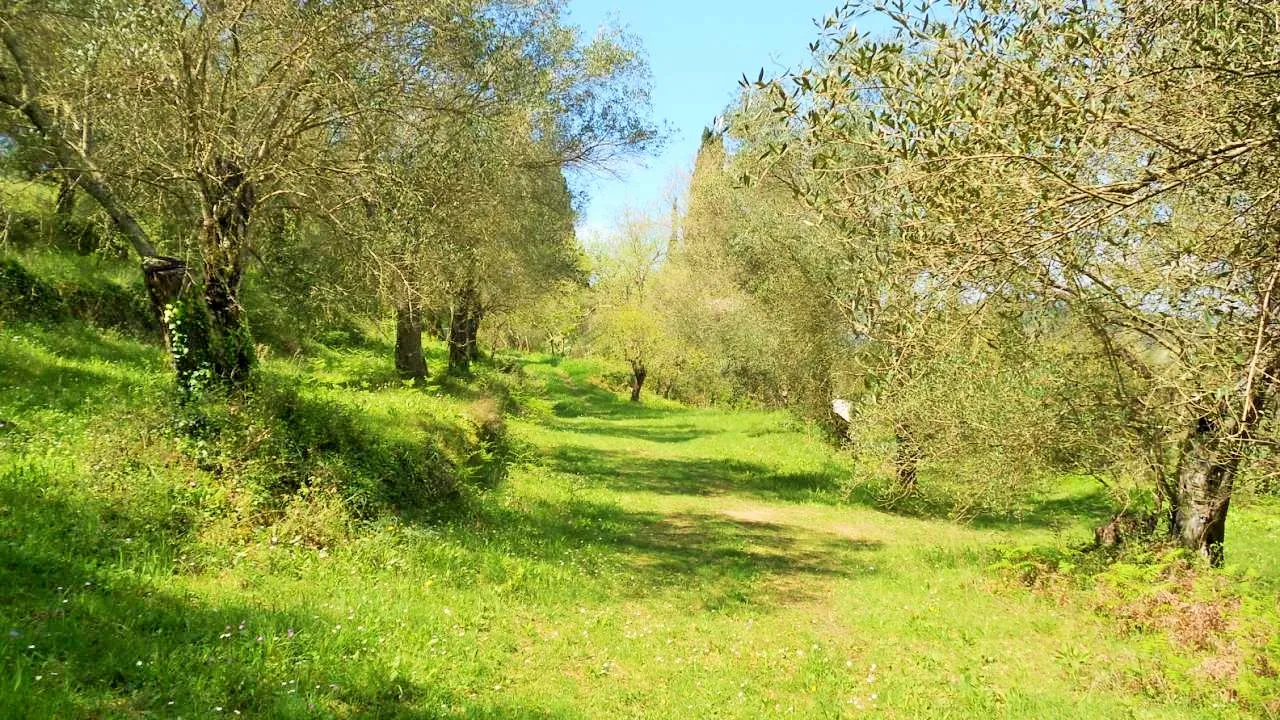 οικόπεδο προς πώληση 10500 τ.μ Κέρκυρα Νομός Κέρκυρας